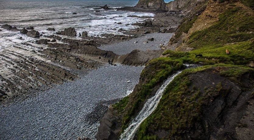 Photo of Cheristow Orchard