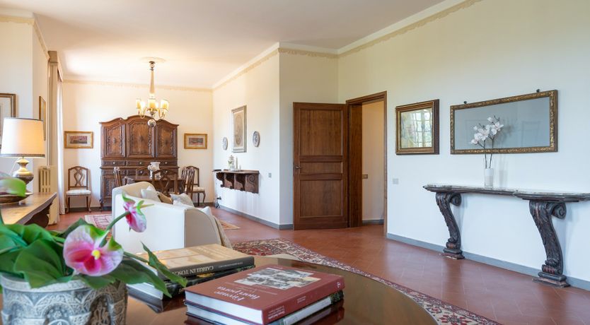 Photo of Into the Olive Grove