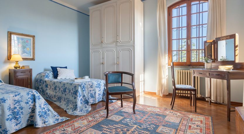 Photo of Into the Olive Grove