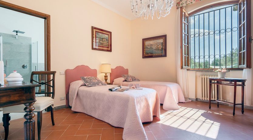 Photo of Into the Olive Grove