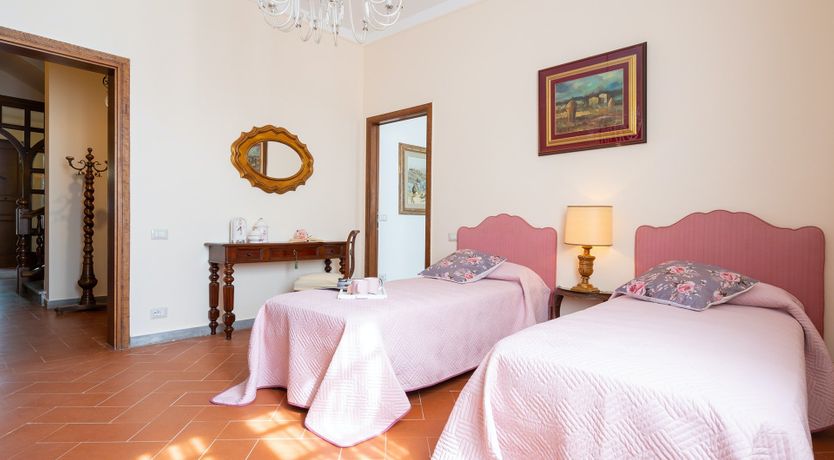 Photo of Into the Olive Grove