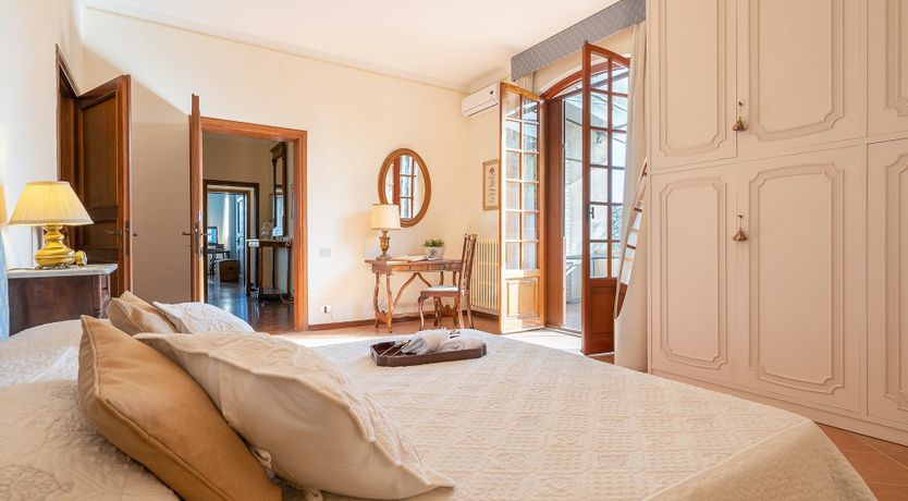 Photo of Into the Olive Grove