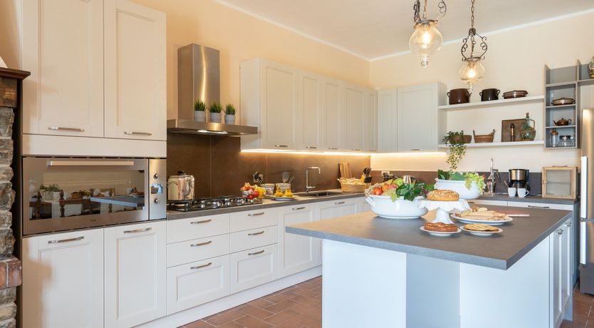 Photo of Into the Olive Grove