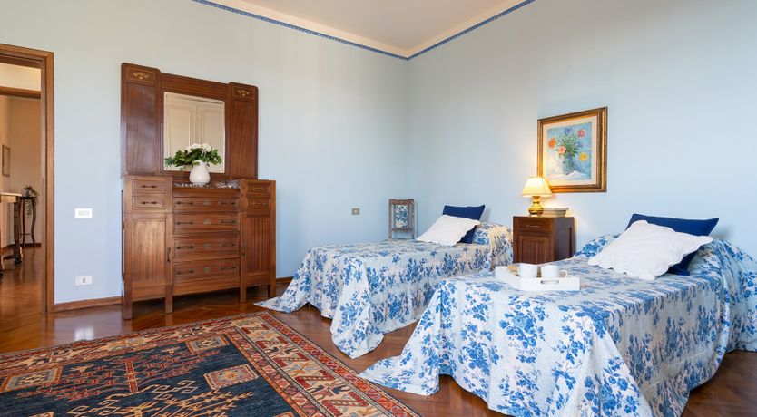 Photo of Into the Olive Grove