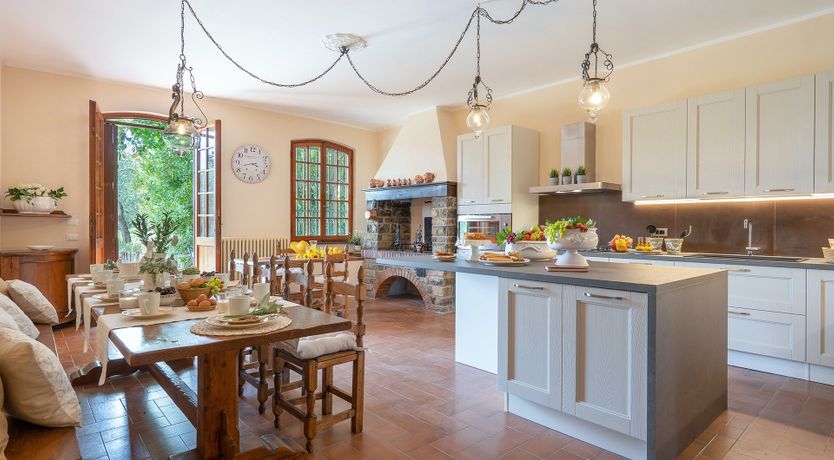 Photo of Into the Olive Grove