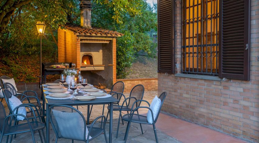 Photo of Into the Olive Grove