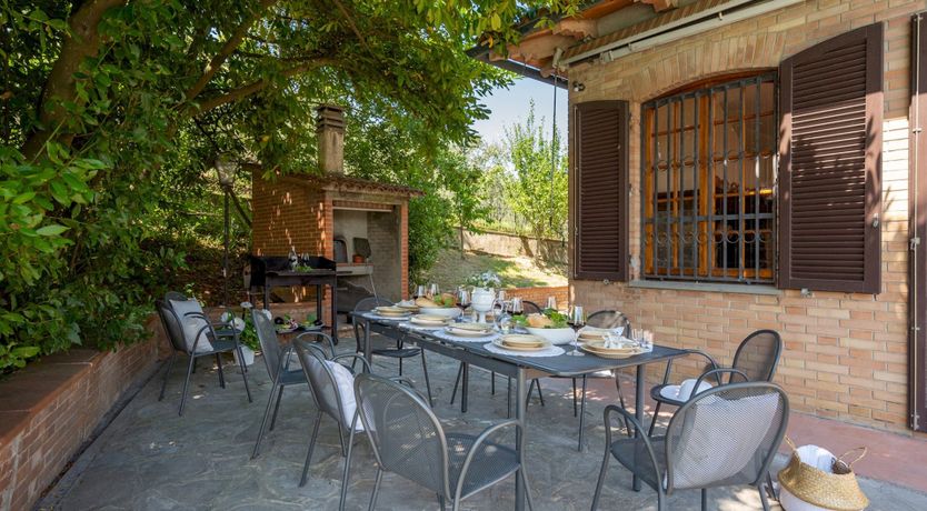 Photo of Into the Olive Grove