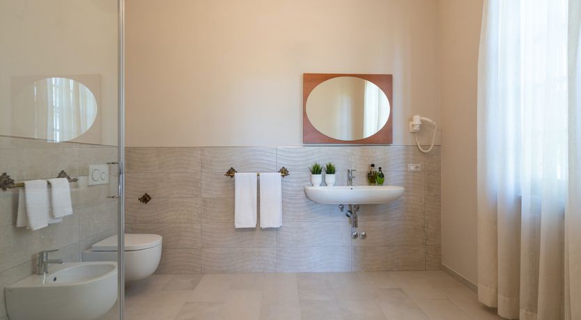 Photo of Into the Olive Grove