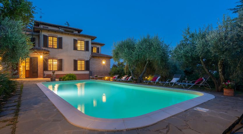 Photo of Into the Olive Grove