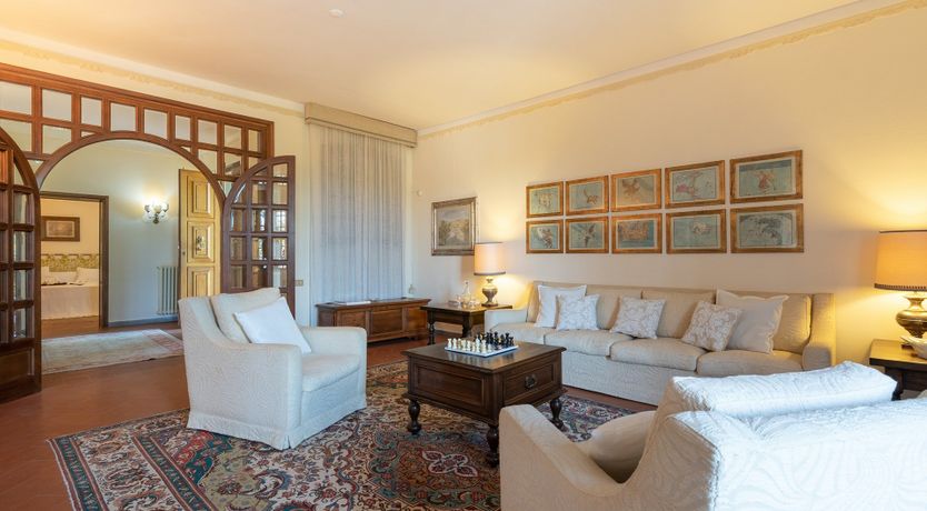 Photo of Into the Olive Grove