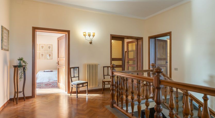 Photo of Into the Olive Grove