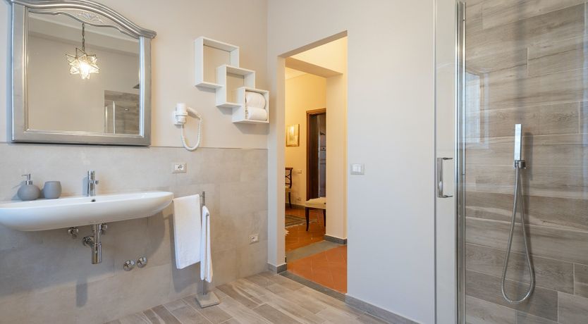 Photo of Into the Olive Grove