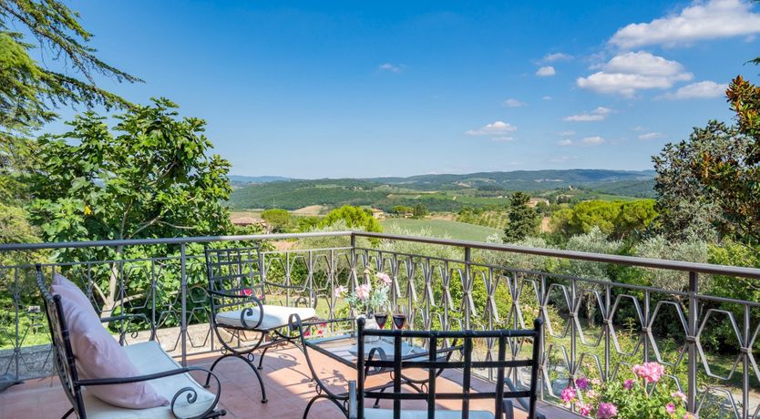 Photo of Into the Olive Grove