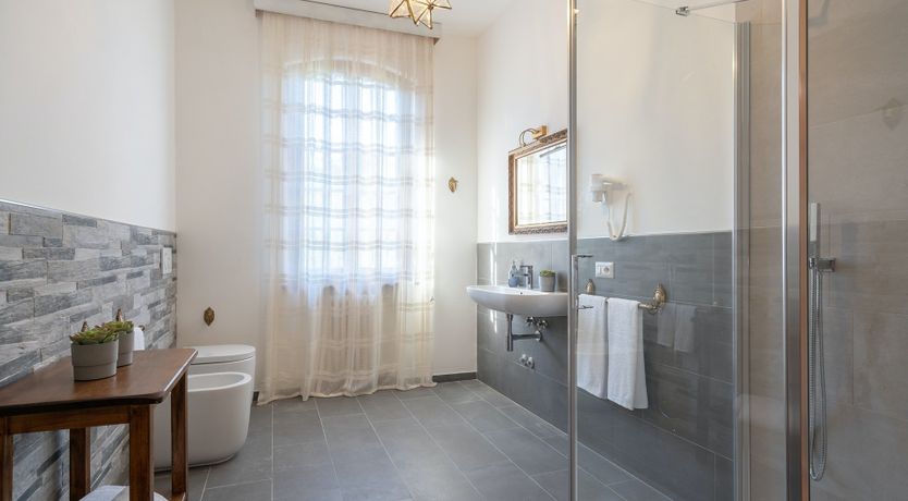 Photo of Into the Olive Grove