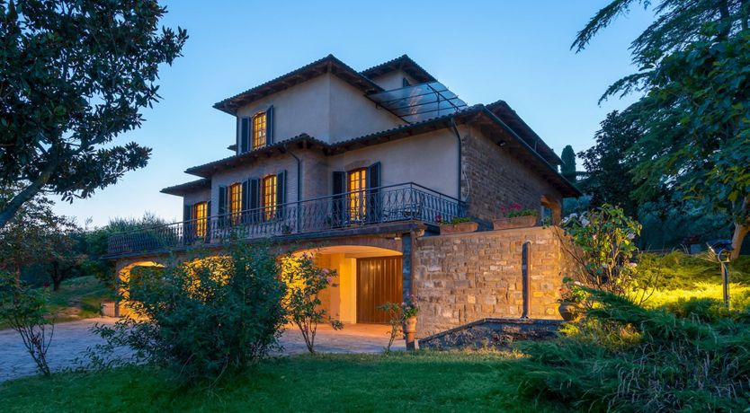 Photo of Into the Olive Grove