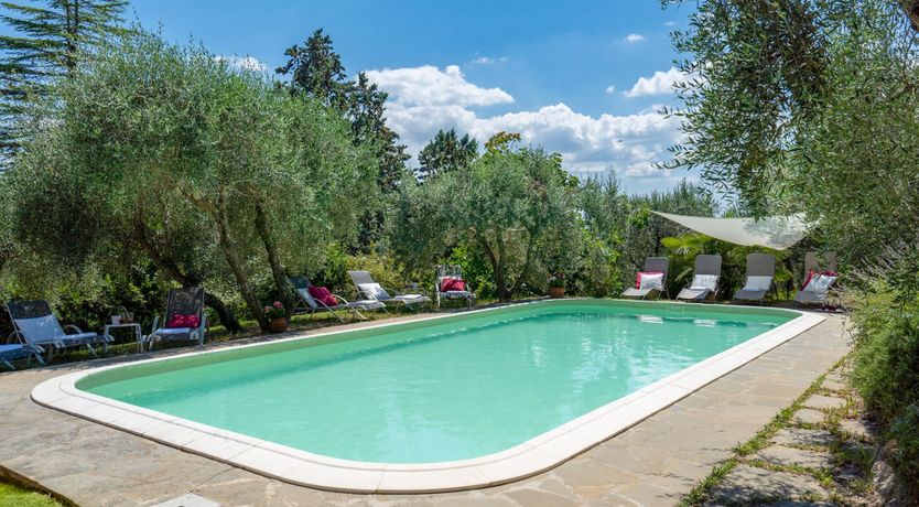 Photo of Into the Olive Grove