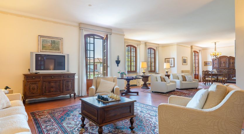 Photo of Into the Olive Grove