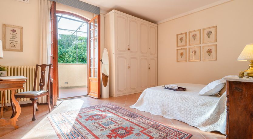 Photo of Into the Olive Grove