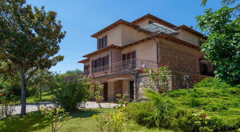 Photo of Into the Olive Grove