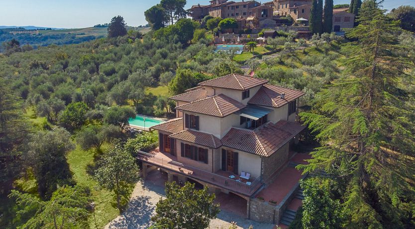 Photo of Into the Olive Grove