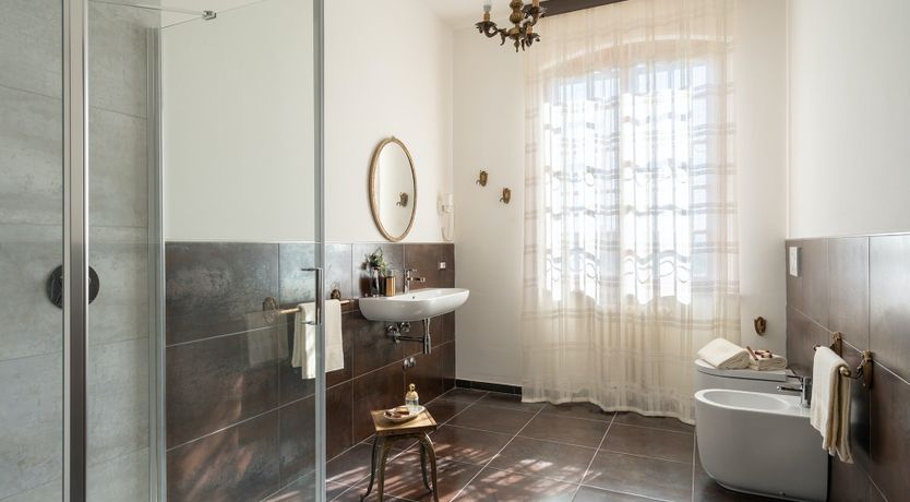 Photo of Into the Olive Grove