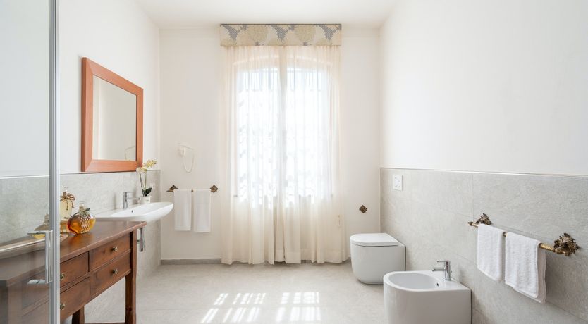 Photo of Into the Olive Grove