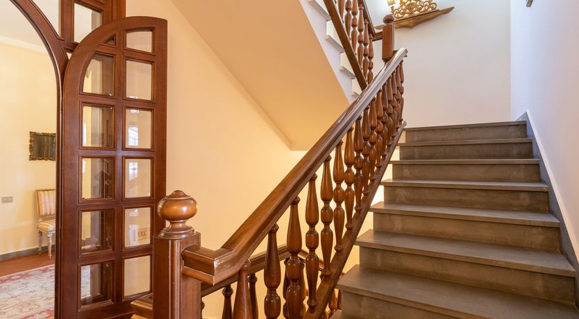 Photo of Into the Olive Grove