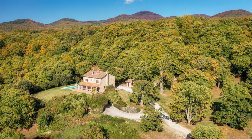 Photo of Healing Chestnuts