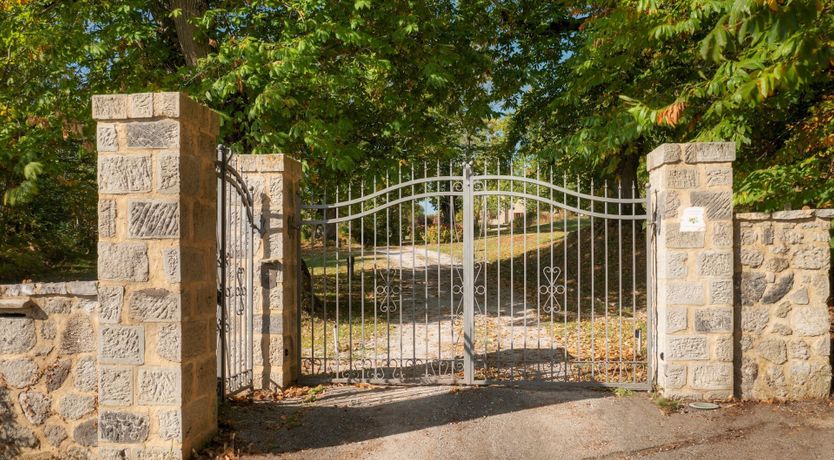 Photo of Healing Chestnuts