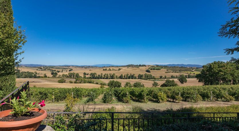 Photo of Little Borghis