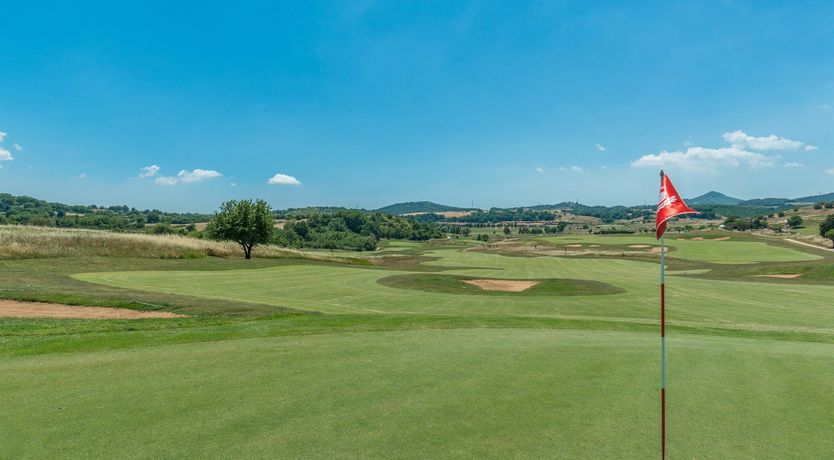 Photo of The Last Word