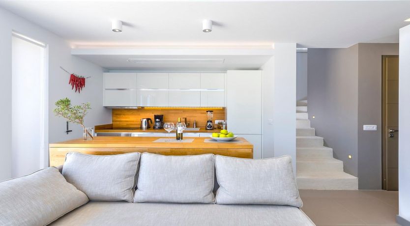 Photo of Oleander Bloom