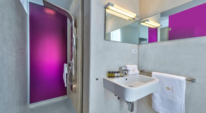 Photo of Oleander Bloom