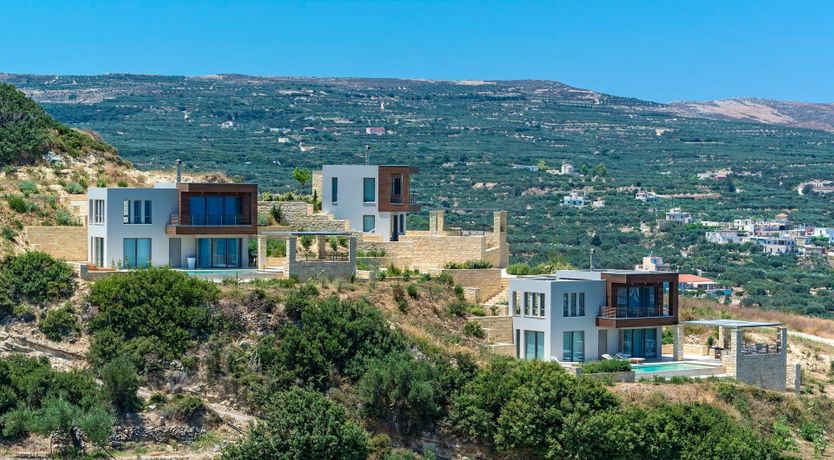 Photo of Oleander Bloom