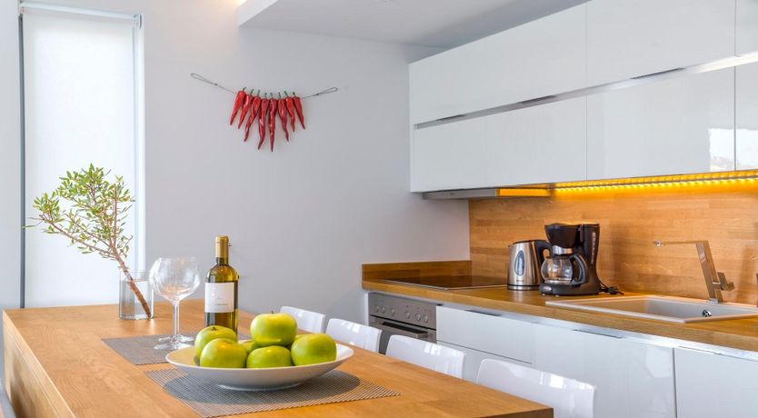 Photo of Oleander Bloom