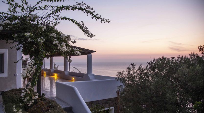 Photo of Blissful Daze