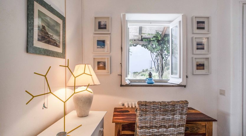 Photo of Blissful Daze