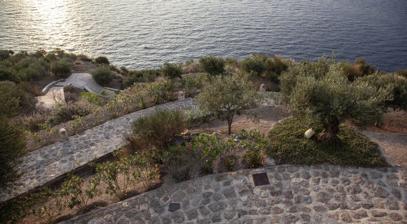 Photo of Blissful Daze