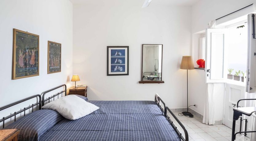 Photo of Blissful Daze