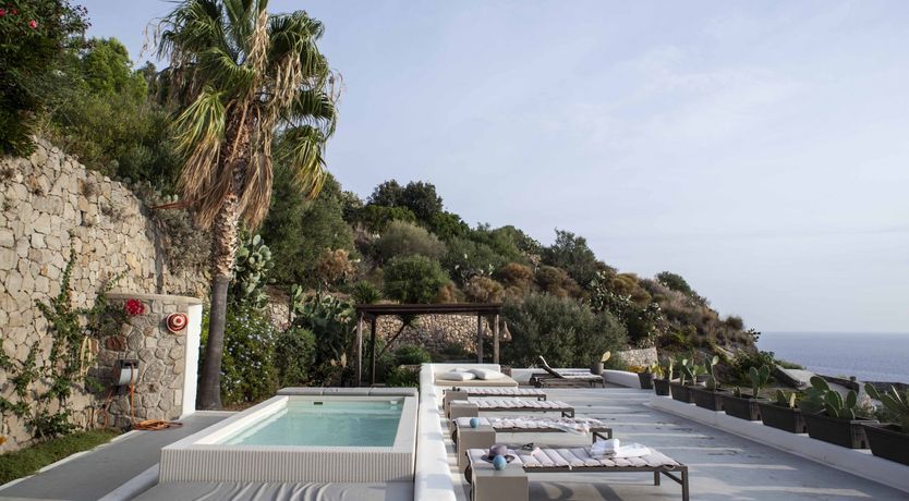 Photo of Blissful Daze