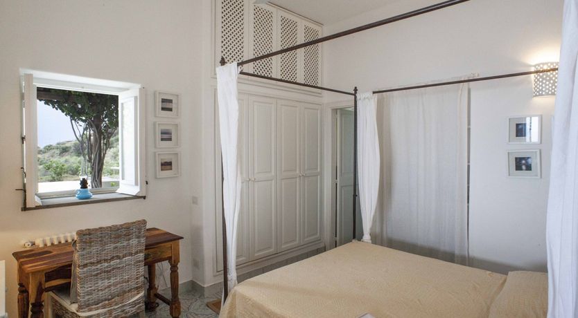 Photo of Blissful Daze