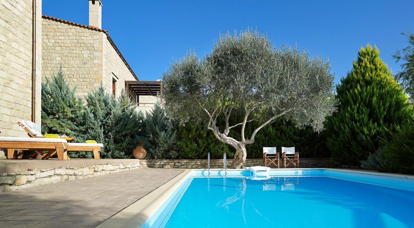 Photo of Shades of Olive