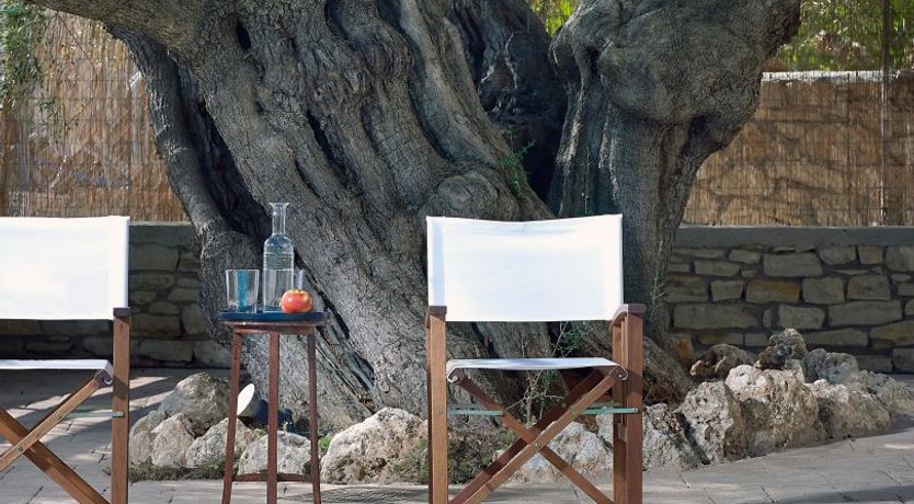 Photo of Shades of Olive