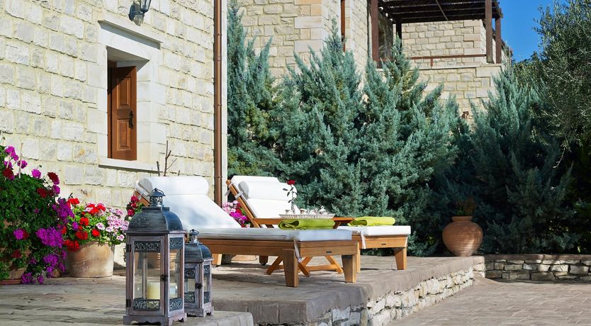 Photo of Shades of Olive