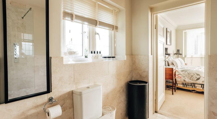 Photo of The Cat's Pyjamas