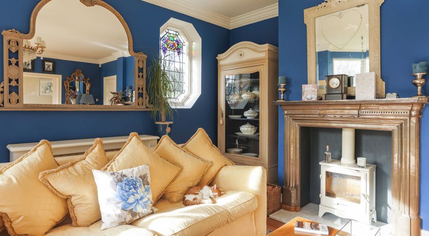 Photo of The Cat's Pyjamas