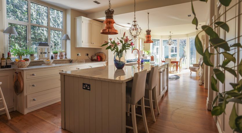 Photo of The Cat's Pyjamas