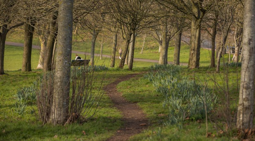 Photo of The Cat's Pyjamas