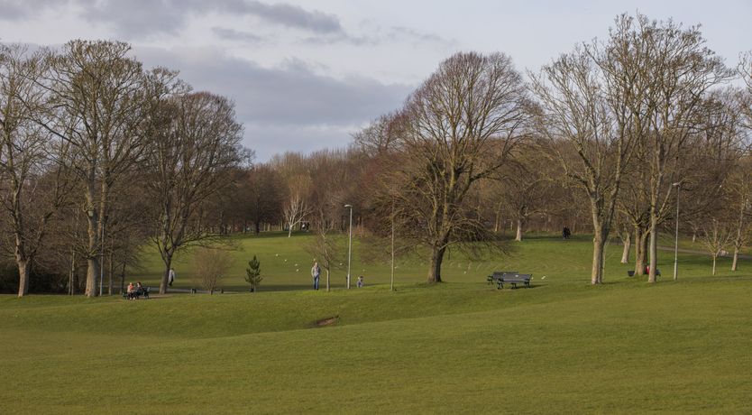 Photo of The Cat's Pyjamas