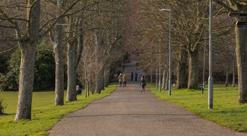 Photo of The Cat's Pyjamas